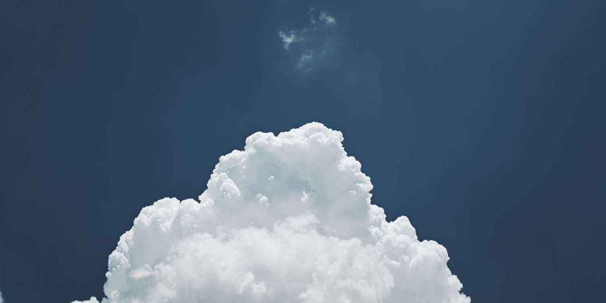Unlock the Sky: Discover the Thrilling World of RC Airplanes!