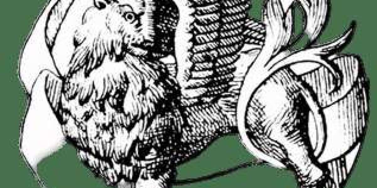 From Vision to Vogue: The Rise of Saint Vanity in Fashion