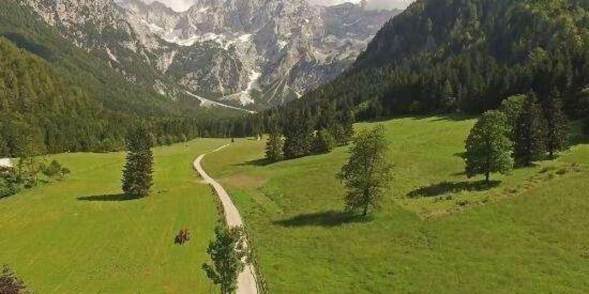 What is a Deed in Lieu of Foreclosure?