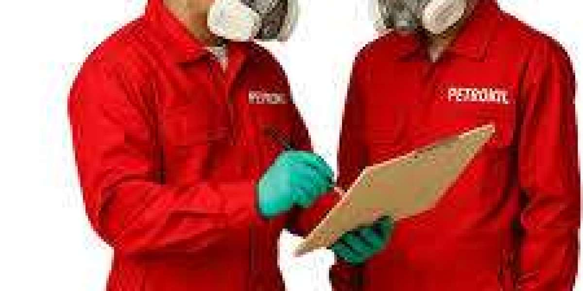 Lindungi Aset Anda dari Rayap dengan Bantuan Jasa Anti Rayap Terbaik di Indonesia