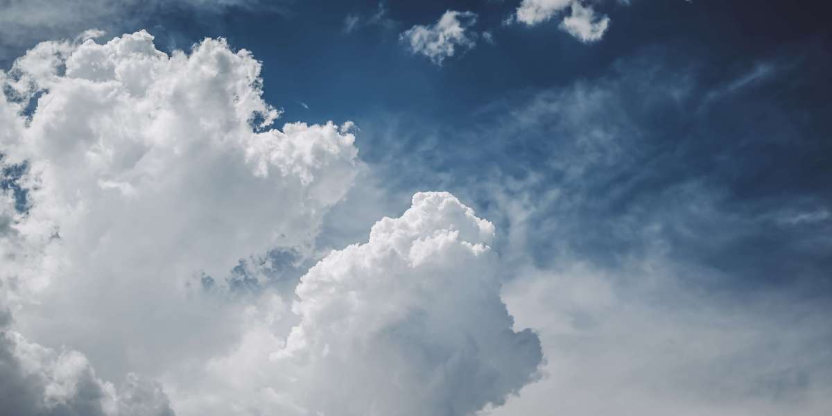 Unlock the Secret to Radiant Skin: Why Everyone is Raving About This Red Light Therapy Sauna Blanket!