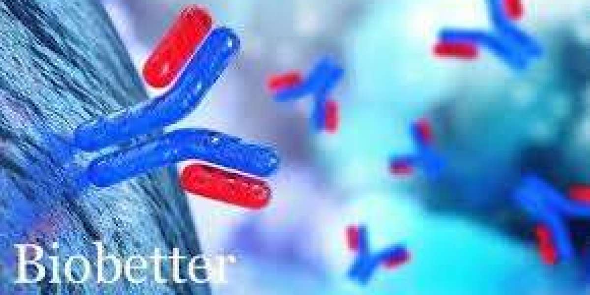 Biobetters Market opportunities unlocking growth prospects in innovative therapeutic and oncology solutions