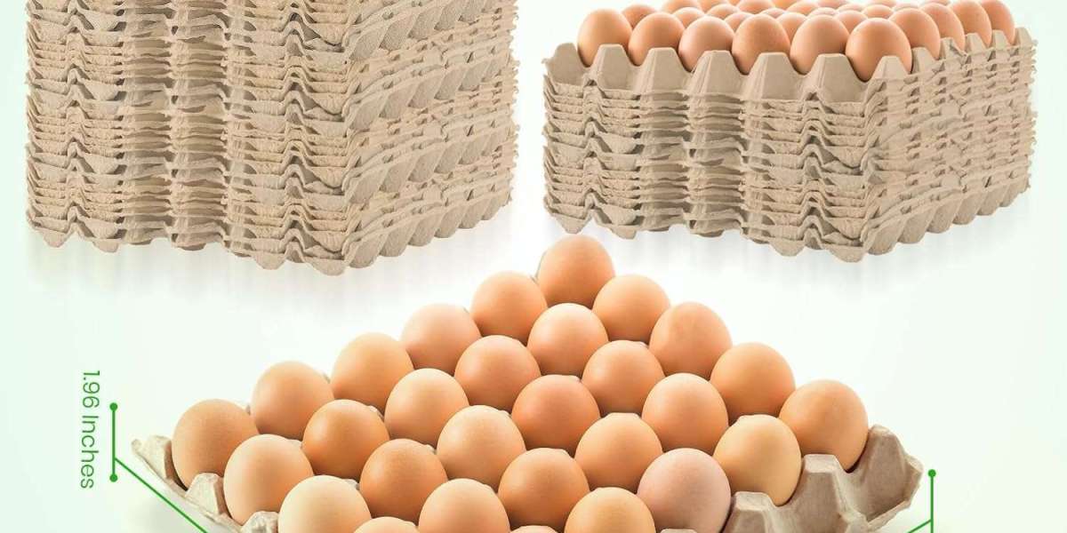 Egg Cartons: Purpose, Types, Benefits, and Environmental Impact
