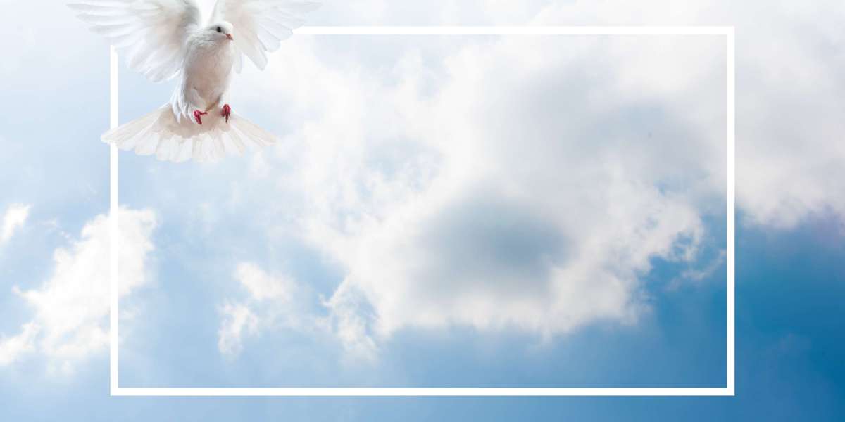 The Rise of Private Aircraft: A Case Study on Luxurious and Effectivity In Aviation