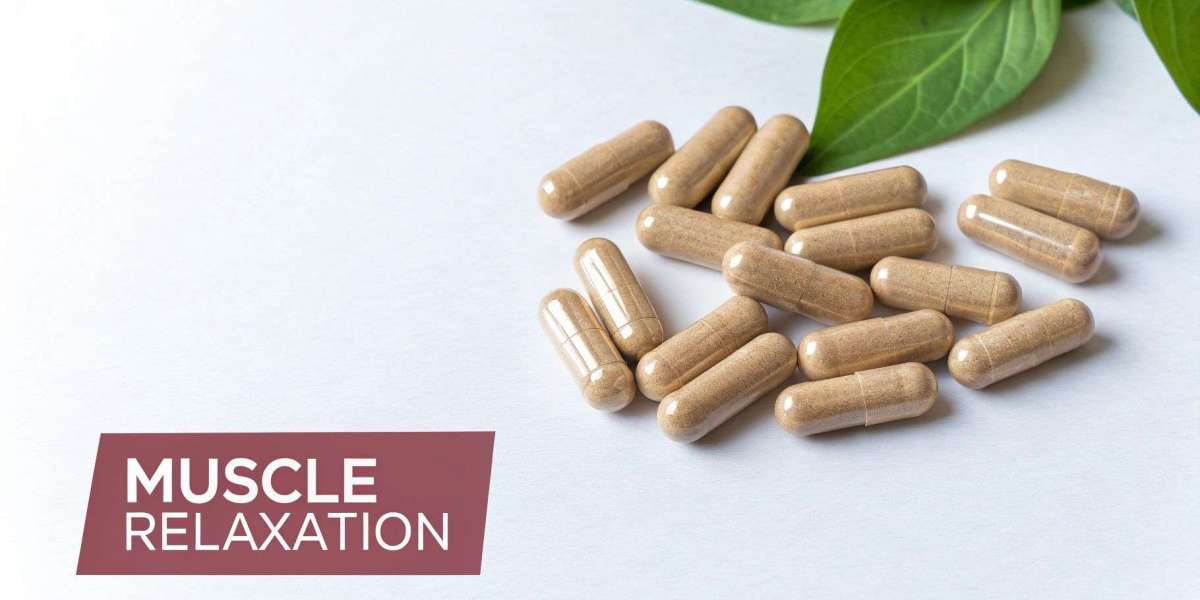 Why Choose Calm24 for Your Wellness Needs? How Does Calm24 Stand Out in Quality, Benefits, and Customer Satisfaction?